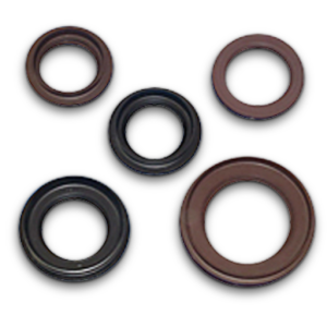 The Essential Guide to Automotive Oil Seals: What You Need to Know
