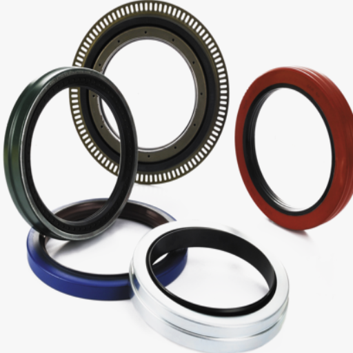 automotive oil seal